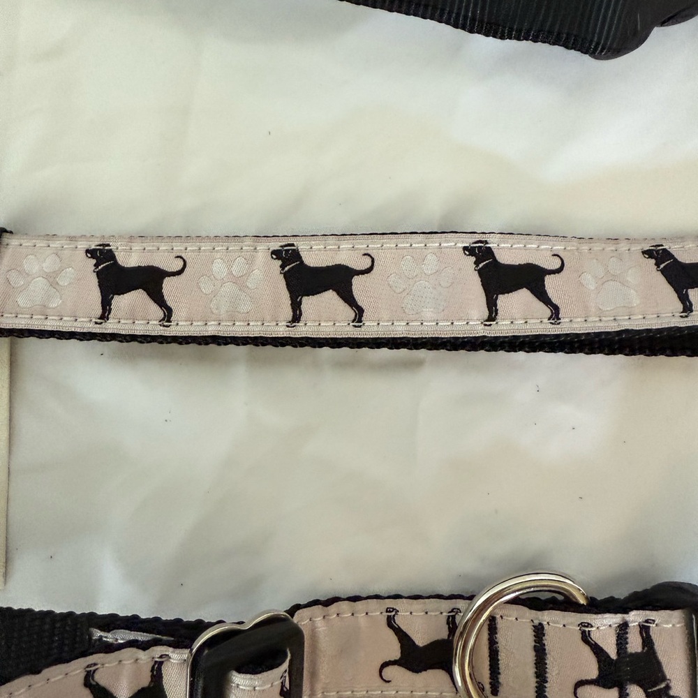 NWT The Black Dog brand pink and black dog collar and leash set.
